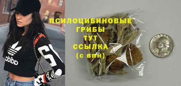 молекула духа Белокуриха