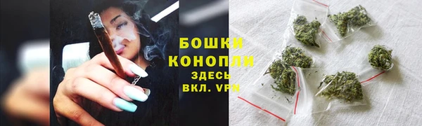 молекула духа Белокуриха