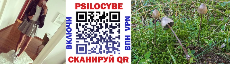 даркнет сайт  Великие Луки  нарко площадка состав  Псилоцибиновые грибы прущие грибы 